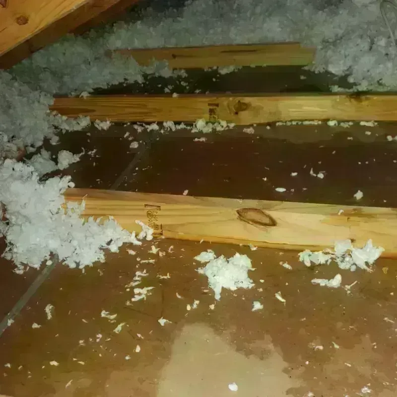 Attic Water Damage in Holbrook, AZ