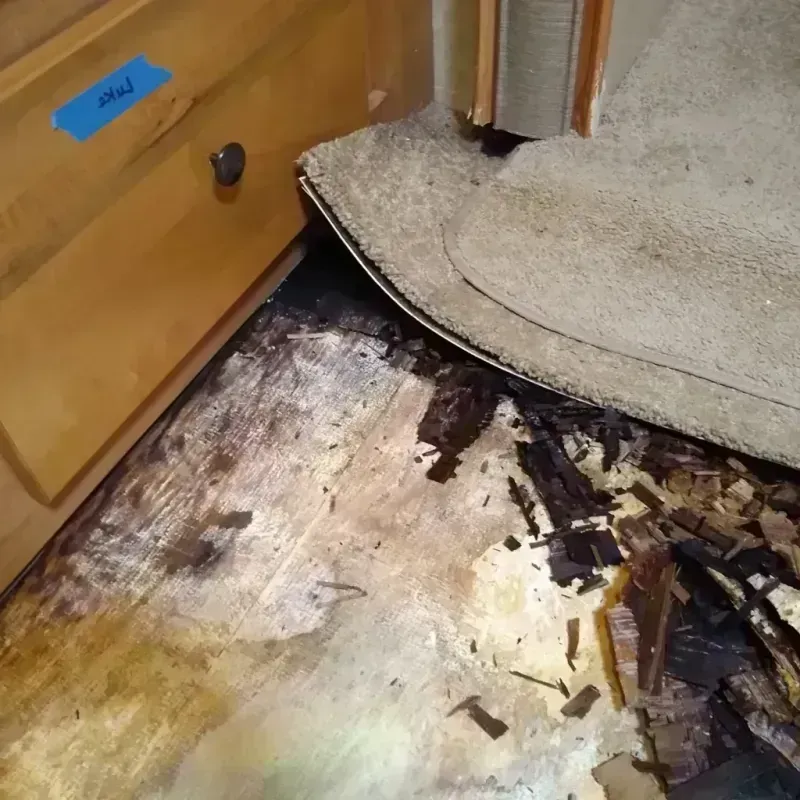 Wood Floor Water Damage in Holbrook, AZ